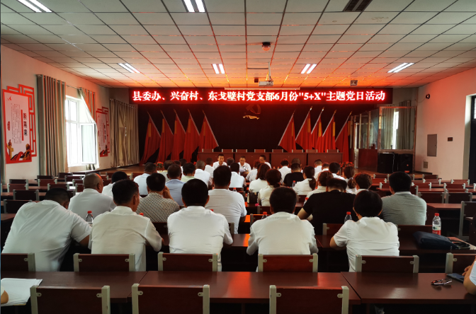 金沟河镇兴奋村开展5x主题党日活动