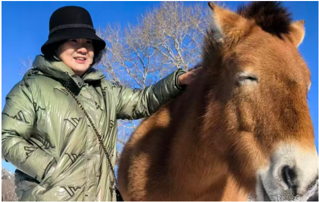 ��С�᣺����˵��