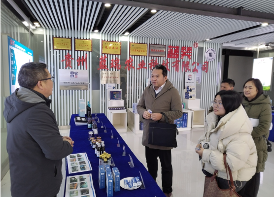 ����ǭ�������г��ල������&ldquo;