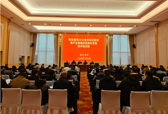 ����ʡǭ�������Ͳ��ҵ��ѵ��