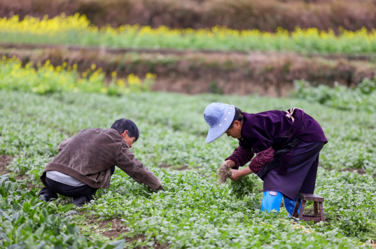 ���ݵ�կ�����ڴ�����