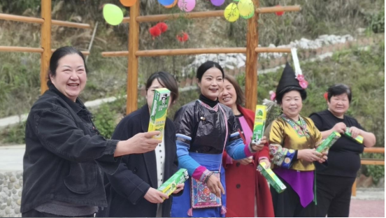 �ӽ�������ϵͳ��չ������