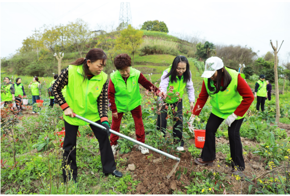 ���ݳ�ˮ������ֲ��������