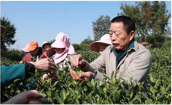 ��ƽ�أ�23����Ķ���迪��æ ������ϴ�����