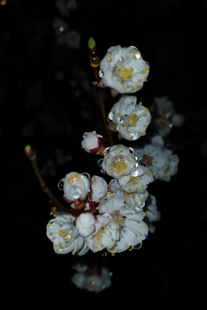 ĸ��.�滨.��ƽ��