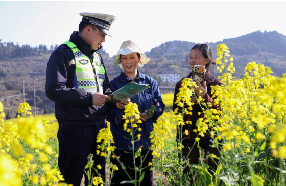 ǭ���Ϲ������ܣ���㷢�������� �ػ����С�ƽ��·��