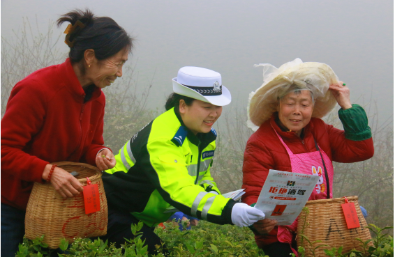 ǭ�����ݶ�㷢����׼��չ������ͨ��ȫ����