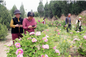 �����ʦ��ïɽ��ֲ���Ի���ʮ