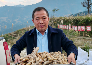 ����ʵ�ɵ�ʹ�� ��ְΪ������